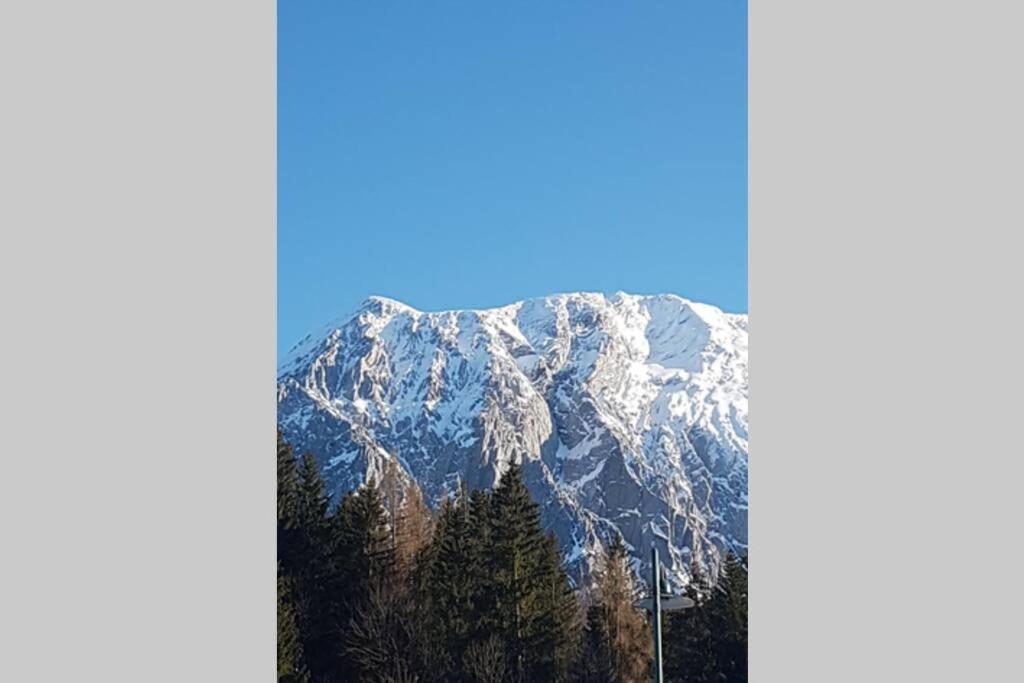 Galerie Wohnung Hechelstein / Top 106 Tauplitz Dış mekan fotoğraf